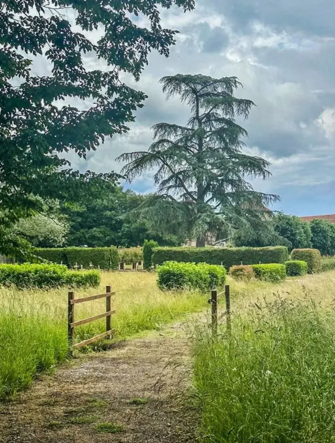 Allée verdoyante du parc du domaine, cadre naturel et paisible pour concerts ou événements en plein air à l’Écrin du Monastère près de Besançon